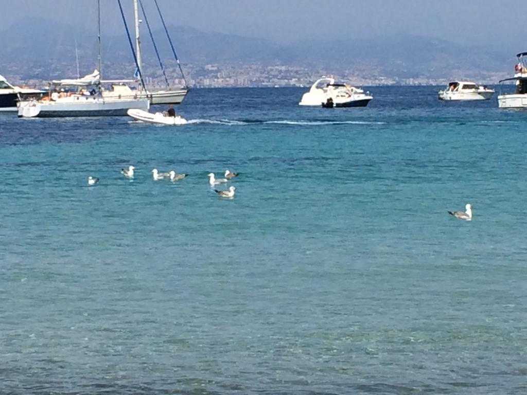 Casa Dade Villa Cannes Dış mekan fotoğraf