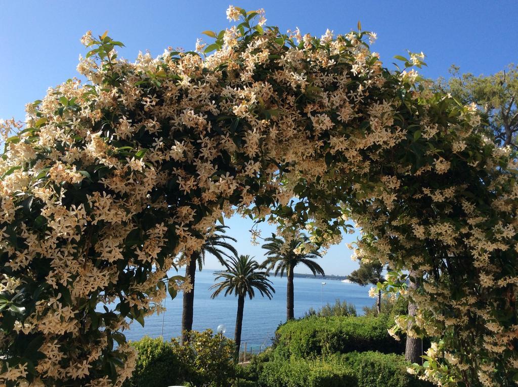 Casa Dade Villa Cannes Dış mekan fotoğraf