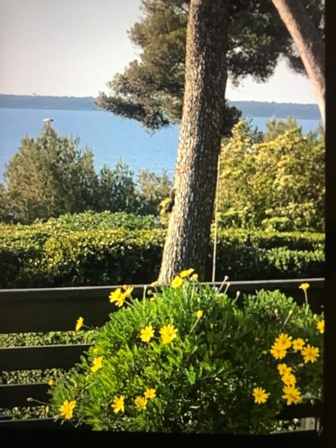 Casa Dade Villa Cannes Dış mekan fotoğraf